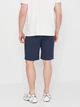 Шорты хлопковые мужские Trespass MABTSHM10013 M Navy Stripe (5045274774887) - изображение 2
