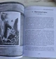 Набор таро зеленой ведьмы The Green Witch Tarot - изображение 7