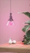 Розумна лампа Nanoleaf Essentials Smart, A60, E27, 9W, Apple Homekit, Matter - 3 шт. - зображення 2