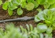 З'єднувач прямий Gardena Micro-Drip-System для шлангів 4,6 мм, 10 шт (13213-20) - зображення 2