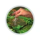 Тест для визначення якості води в акваріумі Easy-Life 6in1 test strips 50 тестів (TST61) - зображення 2