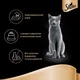 Упаковка влажного корма для кошек Sheba Fine Flakes с индейкой кусочки в желе 24 шт. * 85 г - изображение 5
