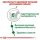 Сухой корм Royal Canin Mini Adult для взрослых собак малых пород от 10 мес. до 8 лет 0.8 кг (30010800) - изображение 4