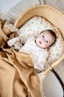 Плед дитячий мусліновий Kiddie Widdie з бахромою Коричневий 100х120 см - зображення 5