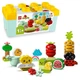LEGO DUPLO Фермерский огород (10984) - изображение 2
