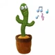Танцующий кактус Dancing Cactus - изображение 3