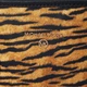 Сумка шопер жіноча Michael Kors 410906077 Помаранчева (1159779621) - зображення 4