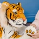 Гігантський плюшевий Тигр Melissa & Doug 1,86 м MD12103 - зображення 4