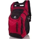 Рюкзак для ноутбука чоловічий ONEPOLAR W1359-red - зображення 1