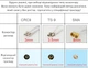 MIMO сплиттер антенный 2x TS9 - SMA Female (мама) 15 см кабель пигтейл адаптер переходник для 4G 3G модемов - изображение 5