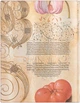 Блокнот Paperblanks Ботанические чудеса – Лилия мартагон 18х23 см 176 страниц в линию (9781439793466) - изображение 3