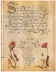Блокнот Paperblanks Ботанические чудеса – Фламандская роза 18х23 см 144 страницы без линовки (9781439781739) - изображение 1
