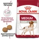 Сухой корм Royal Canin MEDIUM ADULT для взрослых собак Средних пород 15+3 кг (3182550703024) - изображение 2