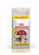 Сухий корм Royal Canin FIT для дорослих кішок 10+2 кг (3182550708364) - зображення 1