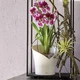 Вазон Lechuza Orchidea 20 білий матовий 13960 - зображення 5