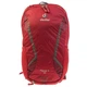 Рюкзак Deuter Race X 12 л 3207118 5557 - изображение 2