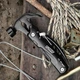 Мультитул Grizzly Hammer 12 in 1 - изображение 10