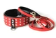 Ошейник с поводком для собаки кожаный с шипами Lockdog, Д 30-40 см, Ш 7 см (ld062_M) - изображение 1