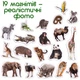 Набір магнітів Magdum Зоо реалістичні (ML4031-02) (4820215152082) - зображення 5