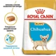 Сухой корм для щенков Royal Canin Chihuahua Puppy породы чихуахуа в возрасте от 2 до 8 месяцев, 0.5 кг (24380051) - изображение 2