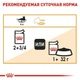 Вологий корм Royal Canin Intense Beauty in Jelly - для кішок для здоров'я шкіри, шматочки в соусі, 85 г (41510010) - зображення 5