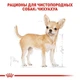 Влажный корм Royal Canin Chihuahua - консервы для взрослых собак породы чихуахуа в возрасте от 8 мес (20410010) - изображение 3