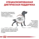 Сухой корм Royal Canin Gastro Intestinal Low Fat Dog - для собак при панкреатите и диарее, 1.5 кг (39320151) - изображение 3