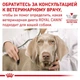 Влажный корм Royal Canin Hypoallergenic – консервы для собак при нежелательной реакции на корм (4084004) - изображение 4