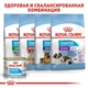 Вологий корм Royal Canin Starter Mousse Mother & Babydog - консерви для цуценят від вилучення до 2 місяців, мус (4077002) - зображення 4