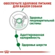 Влажный корм Royal Canin Mini Adult - консервы для взрослых собак мелких пород, взрослой собаки до 10 кг (10960010) - изображение 4