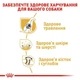 Сухой корм Royal Canin German Shepherd Adult для собак породы немецкая овчарка от 15 месяцев, 11 кг (2518110) - изображение 4