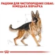 Сухой корм Royal Canin German Shepherd Adult для собак породы немецкая овчарка от 15 месяцев, 11 кг (2518110) - изображение 5