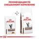 Вологий корм Royal Canin Gastrointestinal Moderate Calorie - консерви для кішок при порушенні травлення, 85 г (400900119) - зображення 2