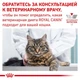 Вологий корм Royal Canin Gastrointestinal Moderate Calorie - консерви для кішок при порушенні травлення, 85 г (400900119) - зображення 6