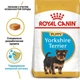 Сухой корм Royal Canin Yorkshire Terrier Puppy - для щенков йоркширского терьера от 2 до 10 месяцев, 0.5 кг (39720051) - изображение 2