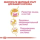 Cухой корм Royal Canin British Shorthair Kitten - для котят породы Британская короткошерстная, 10 кг (2566100) - изображение 5