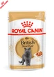 Влажный корм для взрослых кошек Royal Canin British Shorthair Adult, 85 г (20320010) - изображение 1