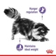 Влажный корм для взрослых кошек Royal Canin Appetite Control Care кусочки в желе, 85 г (1466001) - изображение 4