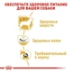 Сухой корм Royal Canin Westie – сухой корм для Вест-Хайленд-Уайт-Терьер от 10 мес., 3 кг (3981030) - изображение 5