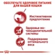 Вологий корм Royal Canin Instinctive Jelly - консерви для котів від 12 місяців, шматочки в желе, 85 г (4074001) - зображення 5