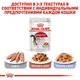 Вологий корм Royal Canin Instinctive Jelly - консерви для котів від 12 місяців, шматочки в желе, 85 г (4074001) - зображення 6
