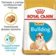 Royal Canin Bulldog Puppy – корм для щенков английского бульдога до 12 месяцев, 12 кг (39671201) - изображение 2