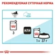 Влажный корм Royal Canin Urinary Care Gravy – консервы для поддержания здоровья мочевыводящих путей у взрослых кошек, 85 г (41570019) - изображение 2