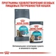 Влажный корм Royal Canin Urinary Care Gravy – консервы для поддержания здоровья мочевыводящих путей у взрослых кошек, 85 г (41570019) - изображение 5