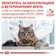 Влажный корм Royal Canin Sensitivity Control Chicken with Rice - консервы для кошек при пищевой непереносимости (40350011) - изображение 5
