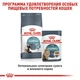 Влажный корм Royal Canin Hairball Care Gravy - консервы для кошек для вывода шерсти из ЖКТ, кусочки в соусе, 85 г (4158001) - изображение 5
