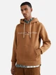 Худи мужское Tommy Hilfiger 498798581 M Коричневое (1159779388) - изображение 1