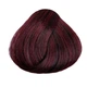 Стойкая крем краска для волос 4.66 Интенсивный каштаново-красный Color Pro Hair Color Cream 100 ml - изображение 1