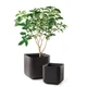 Горшок для цветов (кашпо) Keter Cube Planter L (17201220) Коричневый - изображение 5