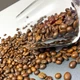 Кава в зернах Dalat 100% робуста свіжообсмажена 1 кг - зображення 2